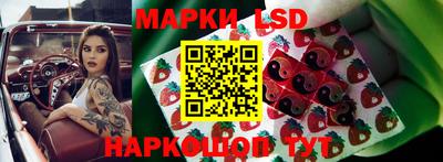 гидропоника Гусь-Хрустальный