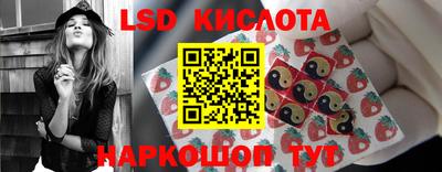 гидропоника Гусь-Хрустальный