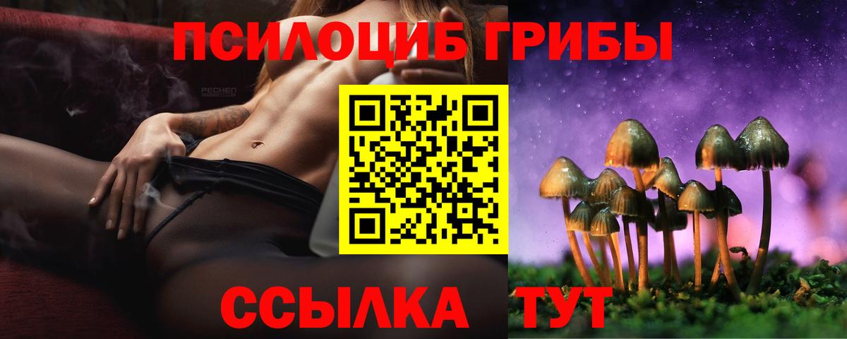 Кириши  купить   Псилоцибиновые грибы Psilocybe  Вход с VPN  Галлюциногенные грибы Cubensis 